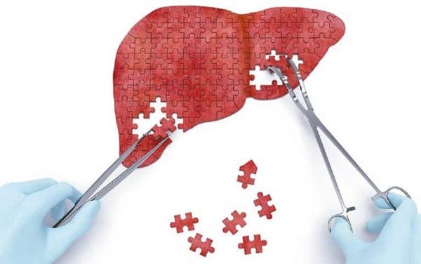 Các giai đoạn phát triển của viêm gan B