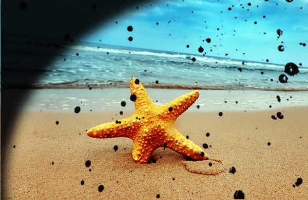 bong rách võng mạc