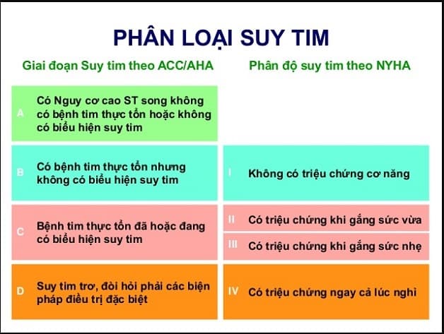 cách phân loại suy tim theo mức độ suy tim
