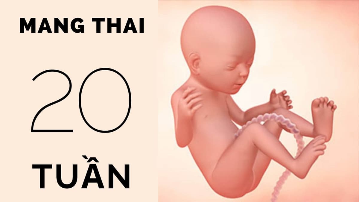 Em bé phát triển ra sao ở buổi khám thai tuần 20?