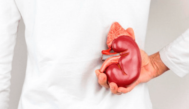 Chế độ dinh dưỡng phù hợp giúp bảo vệ thận khỏe mạnh