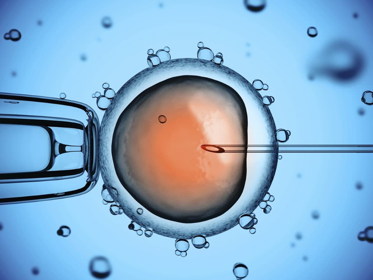 Điểm danh các mốc khám thai IVF quan trọng