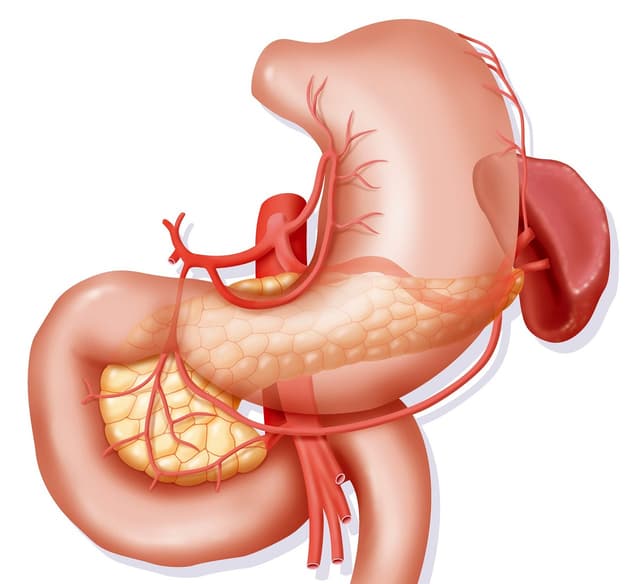 Đau dạ dày tá tràng và những điều bạn cần biết
