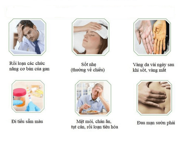 Một số triệu chứng của gan nhiễm mỡ không do rượu