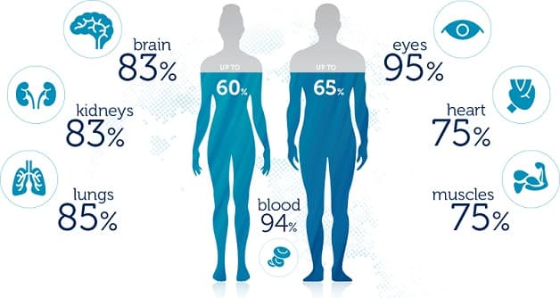 Sỏi bàng quang uống gì để hỗ trợ quá trình điều trị bệnh