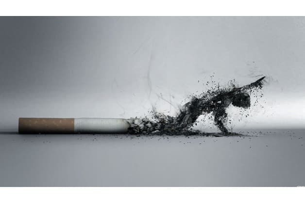 tầm soát ung thư phổi