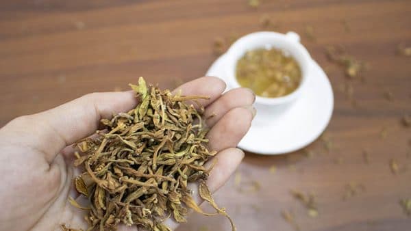 Pha trà hoa đu đủ đực