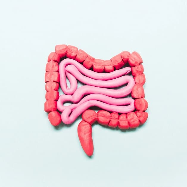 Bệnh xuất huyết dạ dày đại tràng