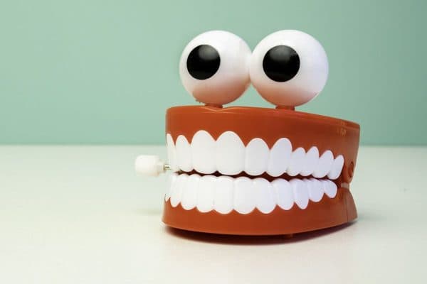 Răng có cấu trúc tương tự mô xương cứng, cắm chặt vào phần xương hàm