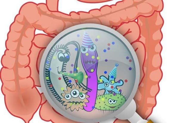 Người bệnh thường có dấu hiệu bị rối loạn tiêu hóa