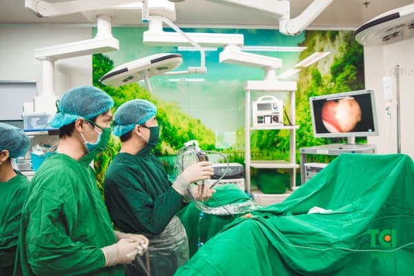 cách trị sỏi tiết niệu 