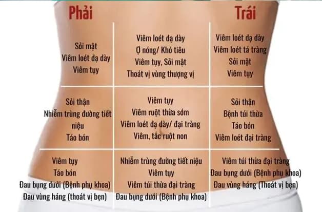 Các vị trí đau bao tử cảnh báo dấu hiệu của nhiều bệnh lý khác nhau
