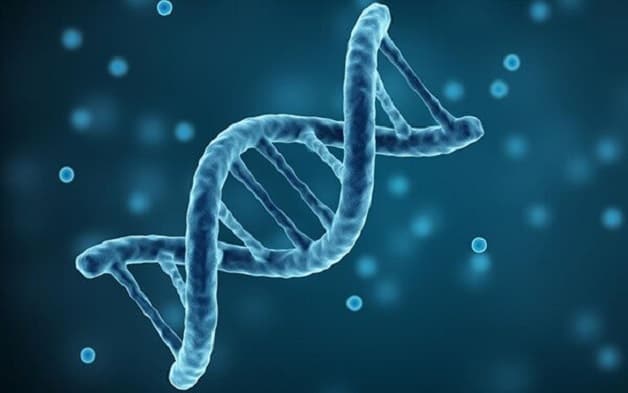 biểu hiện bệnh Parkinson theo từng giai đoạn