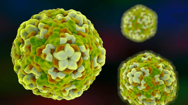 Bệnh tay chân miệng là gì?