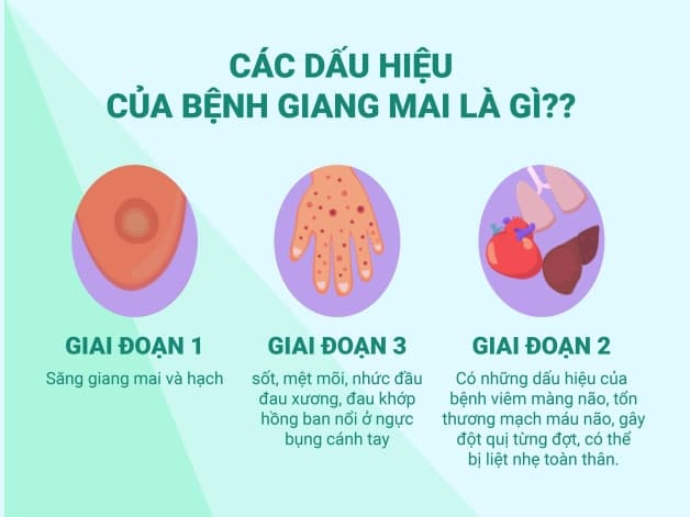 các triệu chứng bệnh giang mai - 2 giai đoạn bệnh