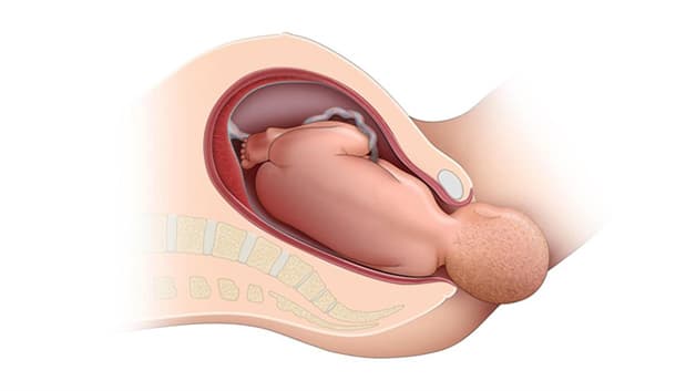 Đẻ thường có bị rộng ra không? Sau sinh thường, âm đạo của người phụ nữ cũng có nhiều thay đổi so với trước