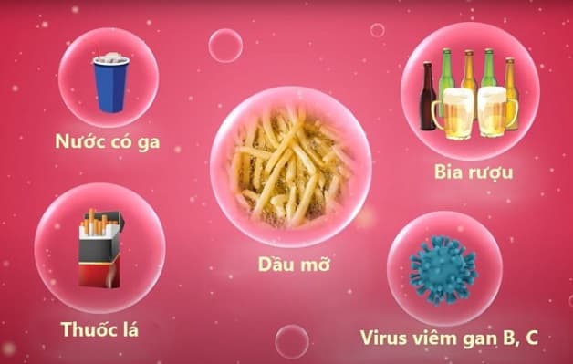 nguyên nhân dẫn đến gan nhiễm mỡ