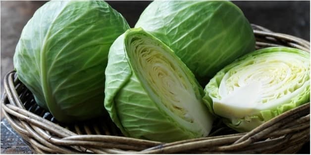 tắc tia sữa đắp lá gì