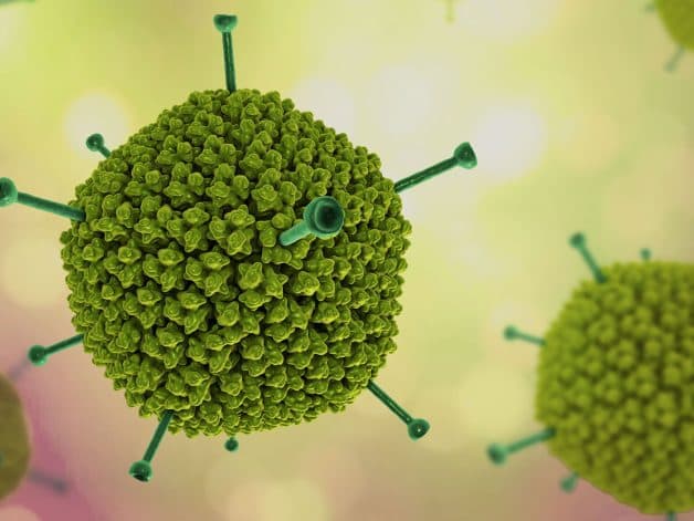 Adenovirus gây bệnh đau mắt đỏ ở trẻ em