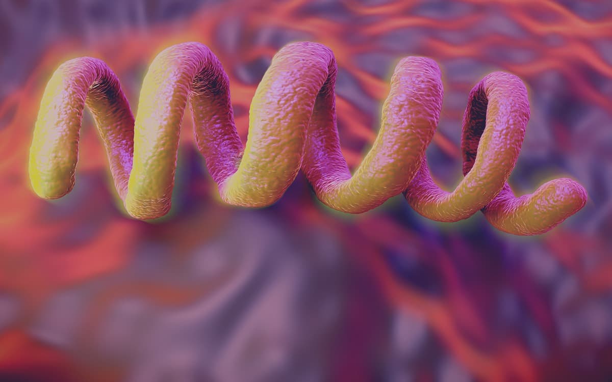 Bệnh giang mai do xoắn khuẩn giang mai Treponema pallidum gây ra