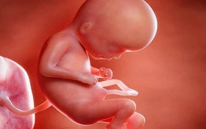 Có thai bị viêm âm đạo khiến cơ thể mẹ không thể nuôi dưỡng tốt cho thai nhi