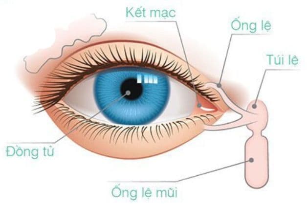 điều trị bệnh viêm kết mạc mãn tính như thế nào 