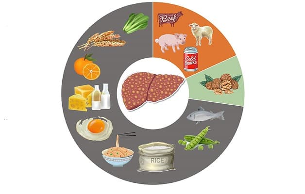 gan nhiễm mỡ độ 3 nên ăn gì