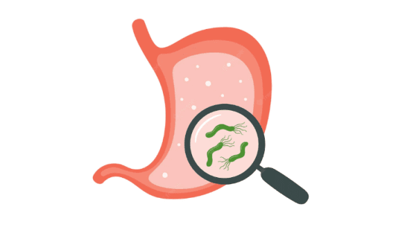 Vi khuẩn HP có nguy hiểm không?