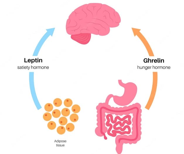 Mất ngủ tác động thế nào đến việc tăng cân và giảm cân?