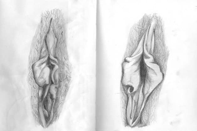 Mép âm đạo nằm ở phần ngoài của cơ quan sinh dục, vì vậy dễ tiếp xúc với các tác nhân gây viêm ngứa