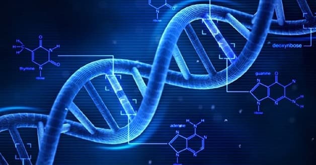 Bệnh động kinh cục bộ có thể do di truyền từ đời này sang đời khác