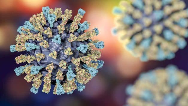 Virus sởi thuộc Morbillivirus của họ Paramyxoviridae là nguyên nhân gây bệnh sởi