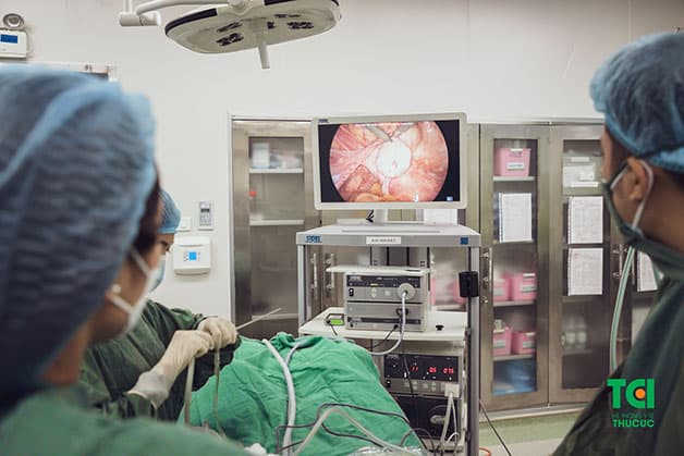 Những khối u có thể phát triển ở bất cứ vị trí nào tại tử cung và cần được điều trị sớm với phương pháp phù hợp