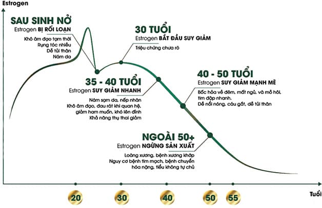 Sự thay đổi của hormone estrogen ảnh hưởng tới u xơ tử cung ở tuổi mãn kinh