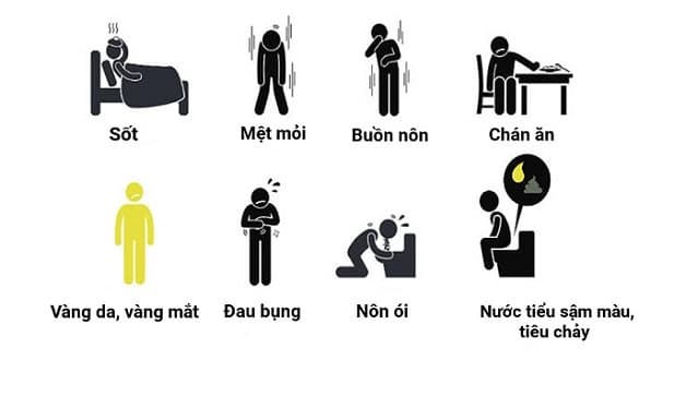 dấu hiệu viêm gan do rượu