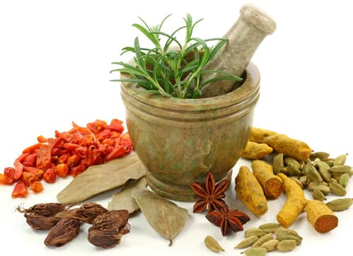 Thuốc điều trị sỏi tiết niệu