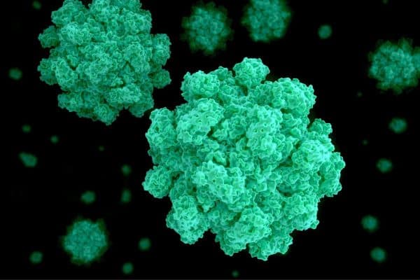 Virus, vi khuẩn là nguyên nhân hàng đầu khiến trẻ bị tiêu chảy cấp