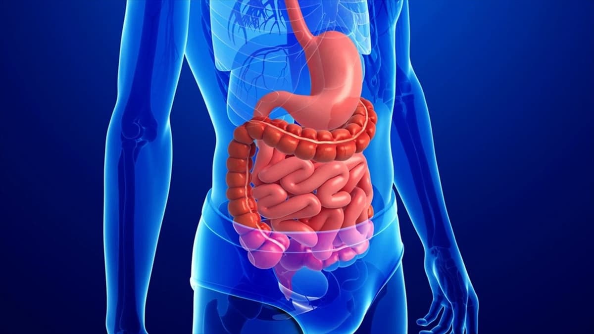 Phân biệt hội chứng ruột kích thích và viêm đại tràng