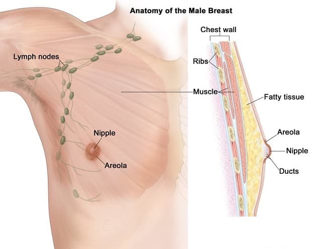 sàng lọc ung thư vú