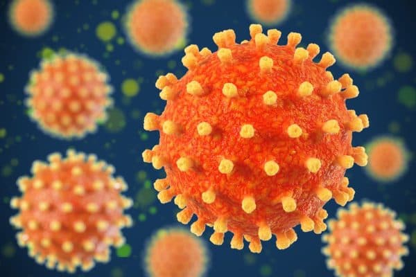 Nguyên nhân bị thủy đậu ở trẻ là do nhiễm virus Herpes Zoster khi tiếp xúc với mầm bệnh