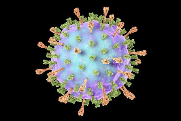  Quai bị do virus Mumps, thuộc chi Rubulavirus, họ Paramyxoviridae gây ra