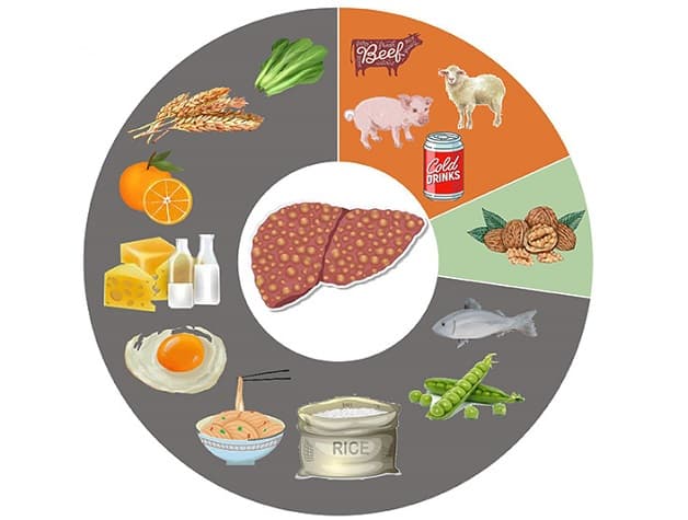 Thực đơn cho người gan nhiễm mỡ nên ăn