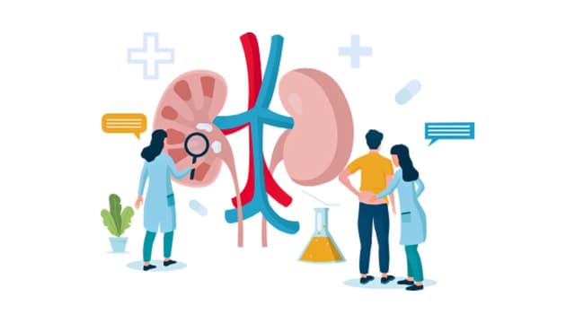 Thuốc điều trị sỏi tiết niệu – Trường hợp áp dụng và hiệu quả