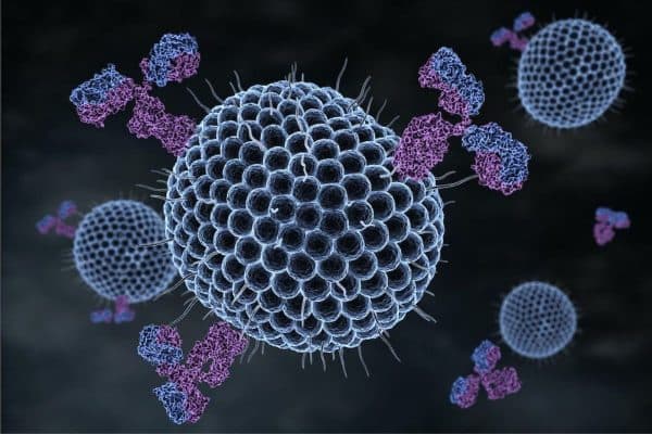 Virus là nguyên nhân chính gây bệnh thuỷ đậu và có thể lây lan qua tiếp xúc