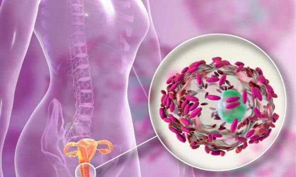 Vi khuẩn tấn công, khiến cho môi trường âm đạo mất cân bằng và dẫn tới viêm nhiễm