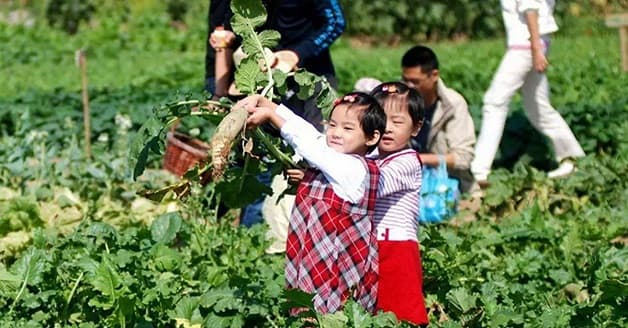 Cha mẹ cần đưa con ra ngoài vận động để nâng cao sức khỏe