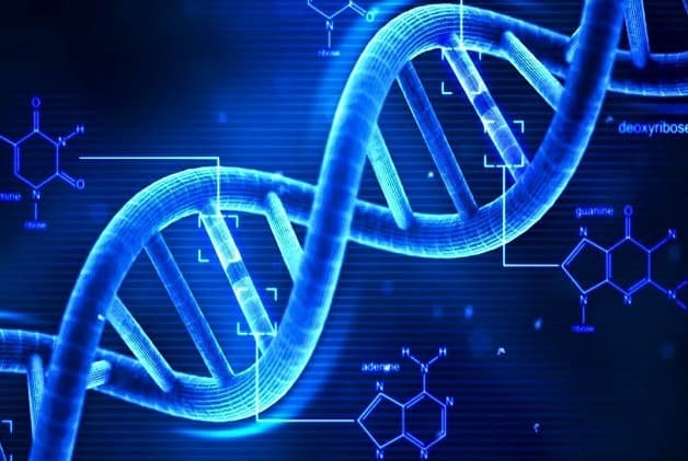 alzheimer ở người trẻ khởi phát liên quan đến 3 gen -APP, PSEN1 và PSEN2