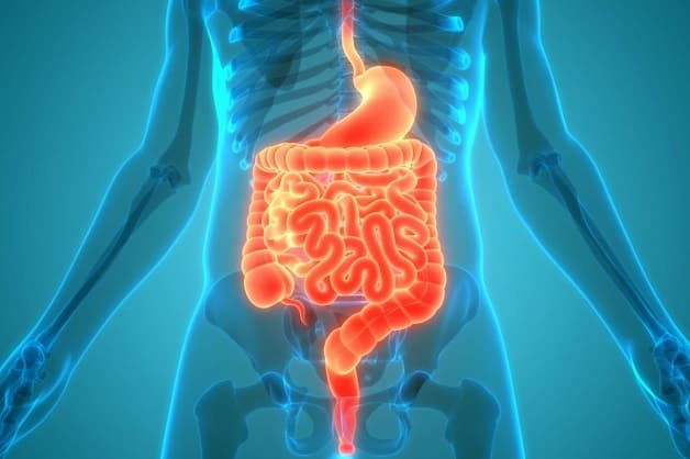 Bệnh Crohn là gì?