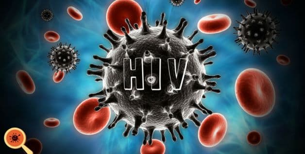 bệnh lây truyền qua đường sinh dục