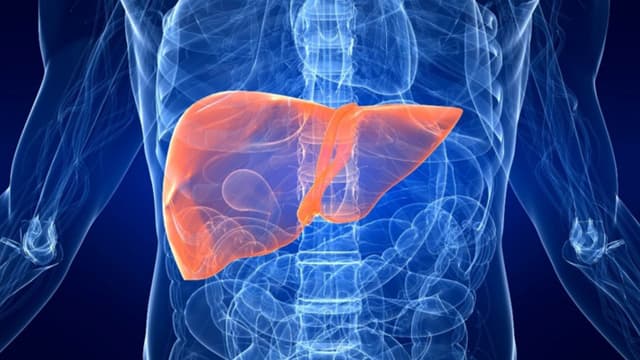 Giải đáp: Tầm soát ung thư gan là gì?